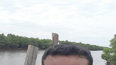 Mancing Ikan Sedak.