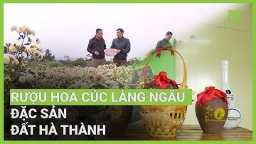 Tinh tuý rượu làng Ngâu: Đặc sản nổi tiếng đất Hà thành | VTC16