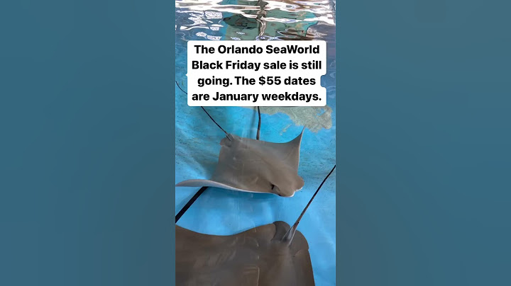SeaWorld Has $55 Tickets For Sale! 😮