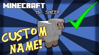 MINECRAFT | How to Summon Mobs with Custom Names! 1.15.2