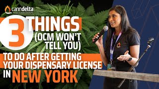 3 Things You MUST do Before Opening a Dispensary in New York, 2024 | Revelry Buyers' Club