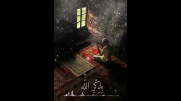تلاوة هادئة من سورة الرعد (راحة نفسية )...