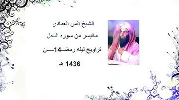 الشيخ انس العمادي تراويح ليله 14 رمضان 1436 هـ "ماتيسر من سوره النحل "