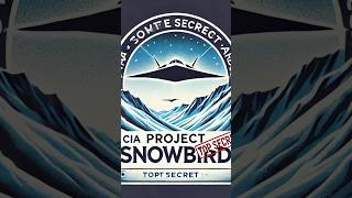 Project Snowbird: The CIA’s Secret Stealth Aircraft Program #cia #facts #shorts  #history