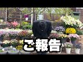 ◆【ご報告】見ないでください…