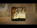 Cole Swindell - Dirty Dancing (Audio)