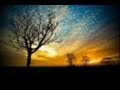 Nasrollahpour شعر معنا 