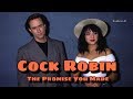 Cock Robin - The Promise You Made (Subtitulado) Gustavo Z