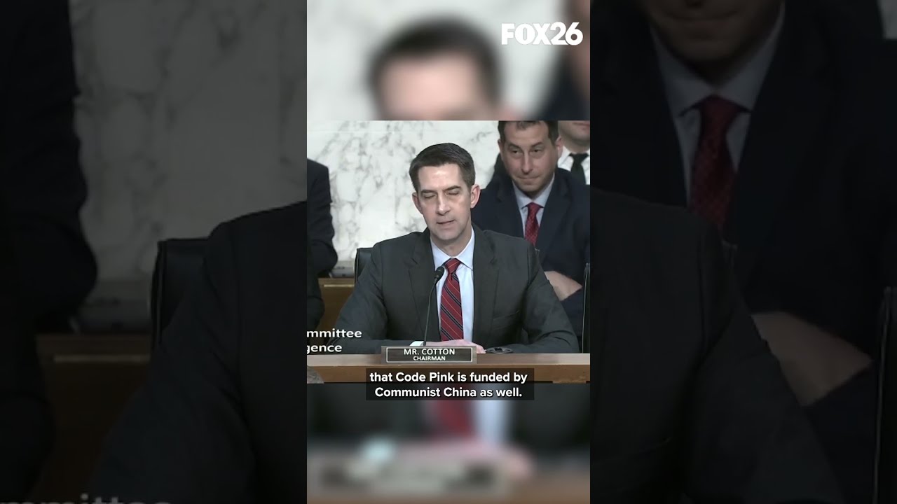 Sen Tom Cotton Calls Out Code Pink Protestor During Senate Hearing