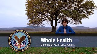 Va Whole Health Program