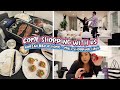 COME SHOPPING WITH US!! korean bbq @ home + mall shopping haul!