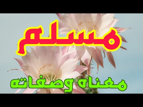 معنى اسم مسلم وصفات من يحمل هذا الاسم