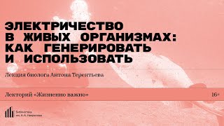 картинка: «Электричество в живых организмах: как генерировать и использовать». Лекция Антона Терентьева