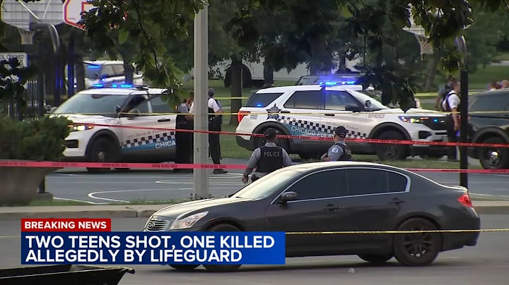 Laquan McDonald's cousin among 2 shot allegedly by lifeguard at Douglass Park, police report says