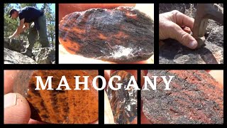 Mahogany - Goose Lake Obsidian Eggs -Quest 4 Treasure # 488 By : Quest For Details