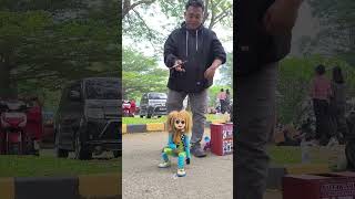 Download Lagu aku suka sound horeg MP3 Download Lagu aku suka sound horeg MP3