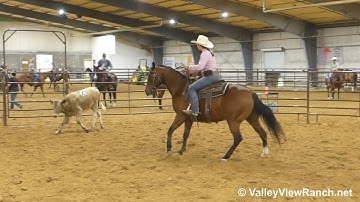 Maisies Instant Cat - sorting! - ValleyViewRanch.net