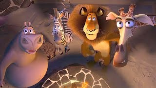 DreamWorks Madagascar en Español Latino | Salvaje Dulce Salvaje - Madagascar | Dibujos Animados