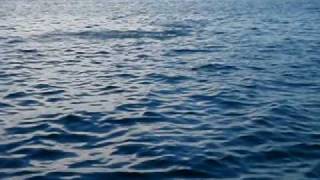 Redfishing With Capt. Sid Lil Lucky Fishing Charters Destin, Fl