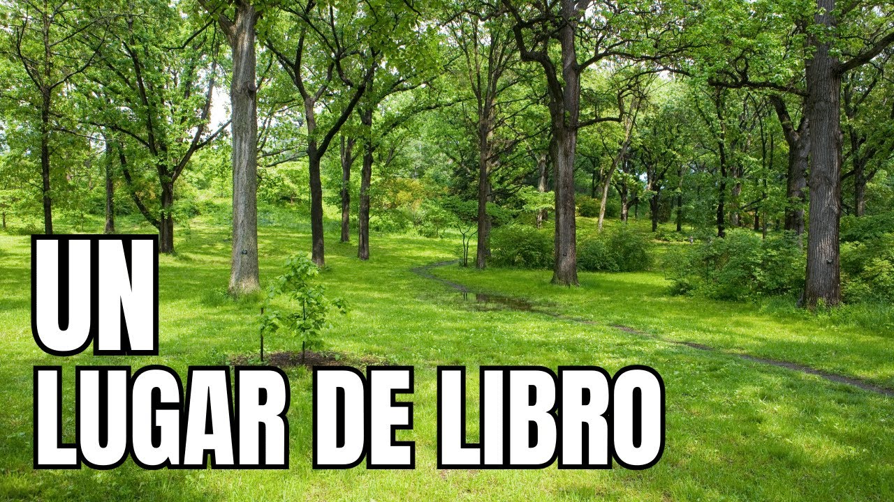 ARBORETUM LUSSICH: parece un bosque en el Señor de Los Anillos
