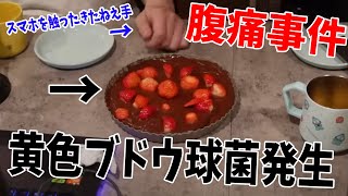 ひまじん、料理動画のチョコタルトで食中毒事件発生 大変なことになりました