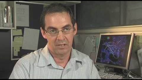 Aerobic granulation - wastewater treatment technology of the future