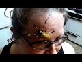 Brave, brave woman lets a huge spider crawl all over her face