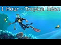 Subnautica Soundtrack Tropical Eden 1 Hour Version