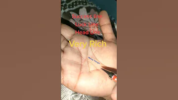 Very Rich Palmistry Shorts Palmist Palmreadings 