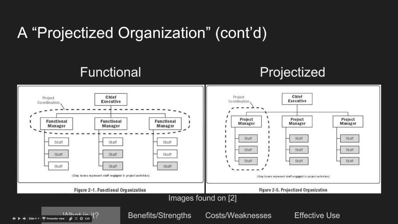 Projectized Organization Chart