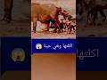 الكلاب البرية اليتيمة ترضع من الجاموس