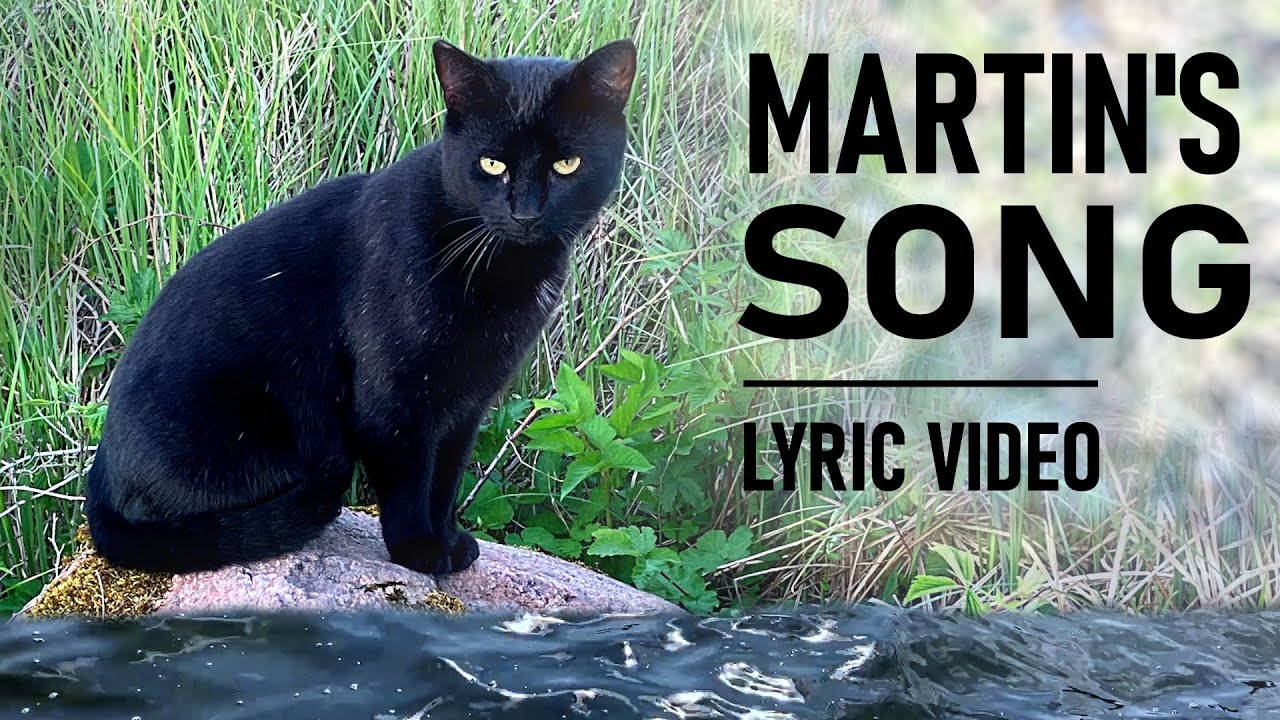 MUSIC VIDEO: Black cat's daily walk to the lake! - YouTube