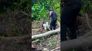 TESTED episode 3 this Friday #test #short #trending #fyp