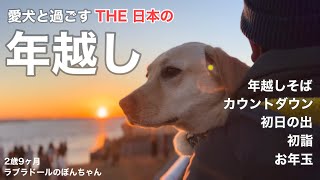 【ラブラドール#125】愛犬と過ごすTHE 日本の年越し★labrador retriever 大型犬  ラブラドールレトリバー　初日の出　初詣　正月