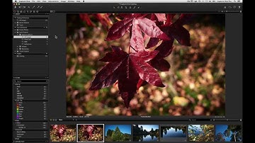 Importing Images in Capture One Express 7 | Phase One
