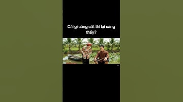 Cái gì càng cất thì lại càng thấy? #viral #xuhuongshorts #xuhuongviral #suigia #caudo