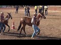 CAMPEONATO POTRA MIRIM - MARCHA PICADA