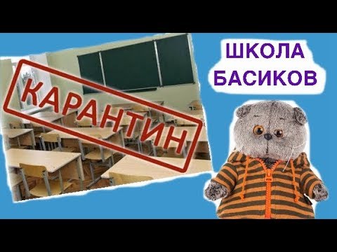 Видео школа басиков