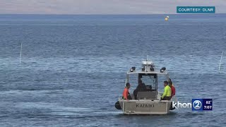 Search continues underwater for fire victims