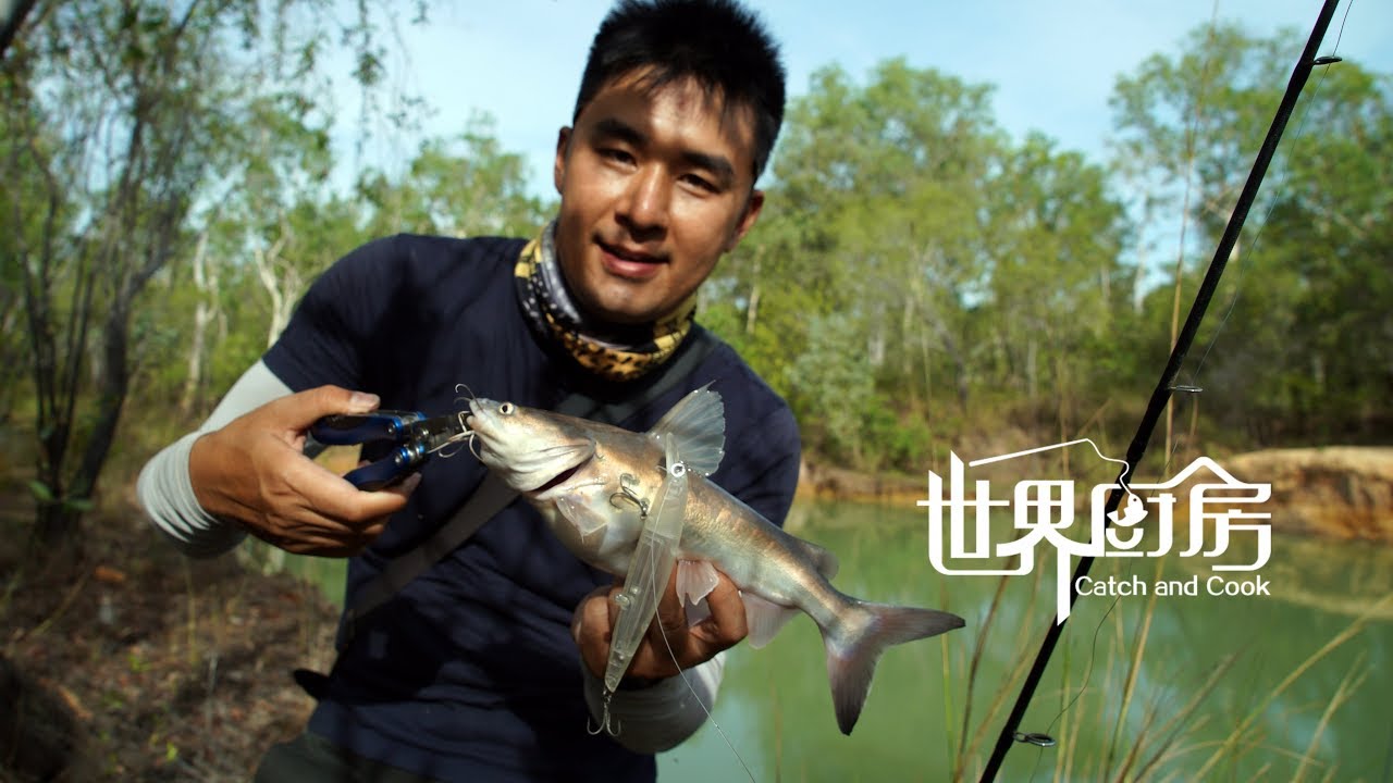 【游钓VLOG】北领地水池路亚钓到肥鲶鱼,还会吱吱吱的叫唤 Lure fishing get barra and fat catfish in NT,Australia YouTube 【游钓VLOG】北领地水池路亚钓到肥鲶鱼,还会吱吱吱的叫唤 Lure fishing get barra and fat catfish in NT,Australia YouTube