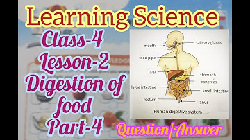 Class-4 | Learning Science Lesson-2 Digestion of food | Part-4 | Question / Answers