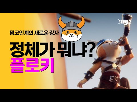   플로키 FLOKI 네 정체가 뭐냐 밈코인계의 새로운 강자 플로키 이누