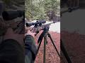 Ruger American Rimfire #adventure #outdoors #asmr #ruger #hunting