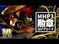 【ゆっくり実況】剣斧と弓と勲章コンプリート【MHP3】#14（終）