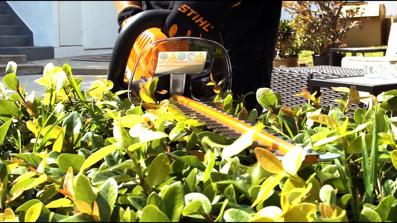 stihl hsa 66 price