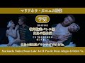 【ヌニェス来日・牧阿佐美バレヱ団 】白鳥グラン・アダジオ&オデットVa.| Swan Lake Act II Pas de Deux Adagio & Odett Va.