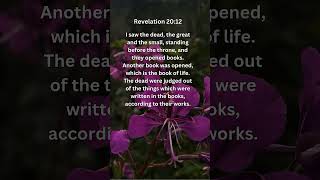 Journey of faith and spiritual growth | Revelation 20:12 Daily Bible Verse