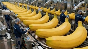 Inside a banana bread factory - An incredible automated production process