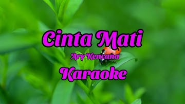 Ary Kencana - Cinta Mati (Karaoke)