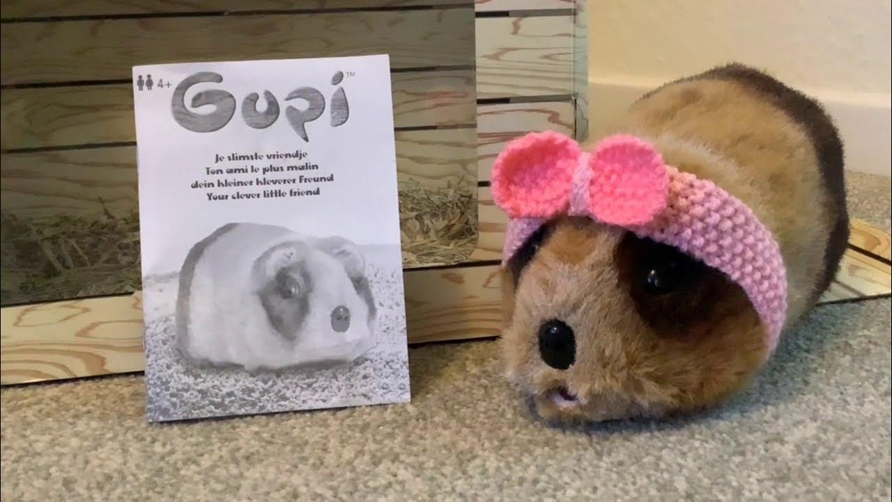 Gupi Robotic Guinea Pig Guide YouTube
